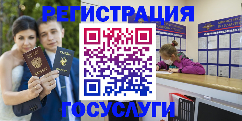 прописка поиск в Нововоронеже